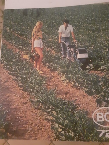 Brochure motocoltivatore bcs - brochure,