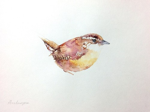 Virginia wren opera arte ad - wren,,