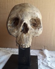 VANITAS scultura MEMENTO MORI 