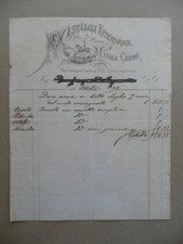 Fattura Mascalcia Veterinaria