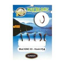 LENZA PRONTA COREGONE  5 AMI