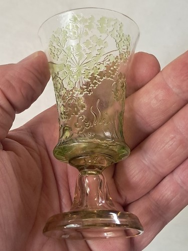 Verre aux ombelles emile - aux,