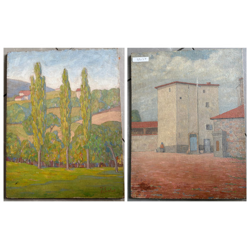 Paesaggio foresta vista