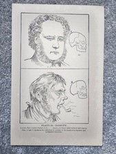 Dignity - Phrenology - Antique