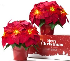 2 Pack 10" LED Lighted