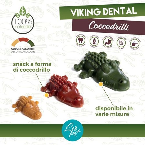 Leopet viking dental