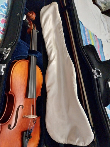Violino karl höfner - violino, 3/4