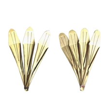 Yi Nazionalità Arpa a Bocca