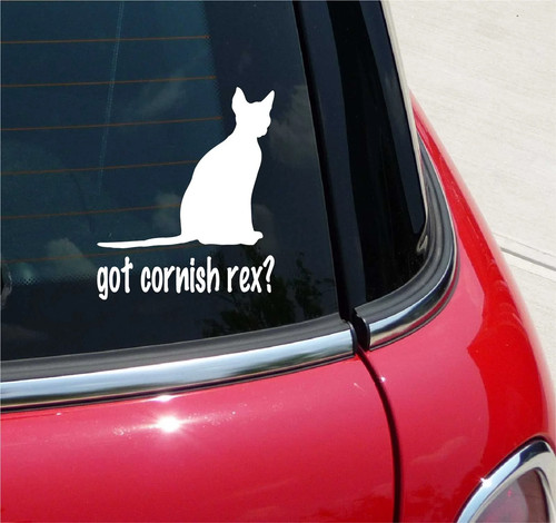 Got cornish rex - rex?, adesivo