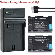 Batteria o caricabatteria