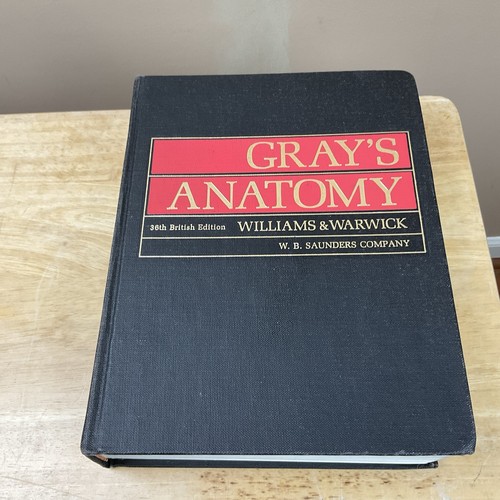 Grays anatomy 36th british - 36th,