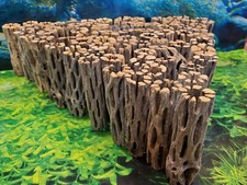 100 Pezzi Cactus in Legno 3"