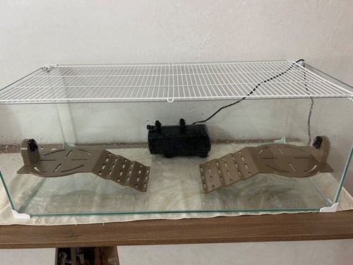 Acquario vetro con - acquario,