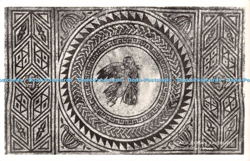 R550136 bignor roman - r550136,