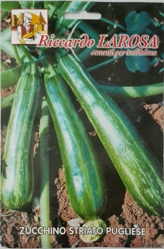 Semi zucchino striato - di,