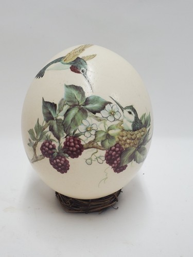 Real ostrich egg hummingbird - egg,