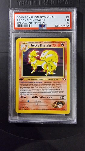 Brock ninetales gym - brock's,
