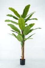 Piante verdi sintetiche - piante,