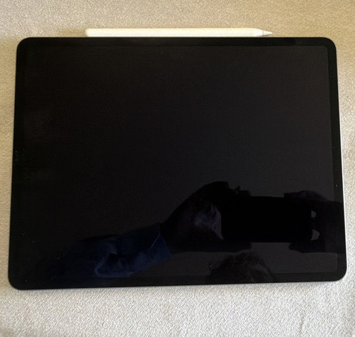 Apple ipad pro - ipad, 6.