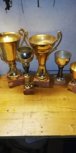 Coppe trofeo vintage - trofeo, 78
