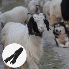  10 Pcs Accessori Capre
