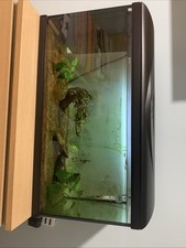 Acquario Usato Amtra 75 L Pieno Con Pesci