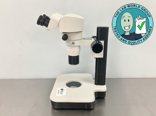 Stereo zoom microscope with - stereo,