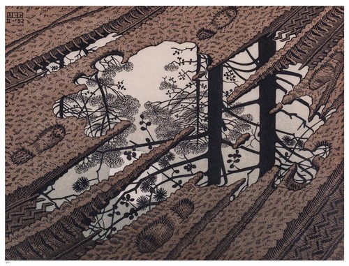 Maurits cornelis escher - cornelis,