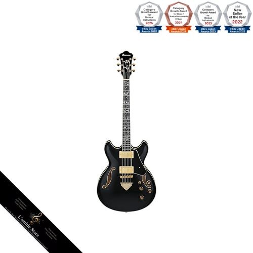 Chitarra semi acustica - chitarra, ibanez