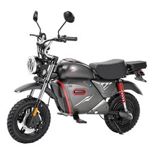 iScooter 15'' Moto Elettrica
