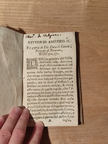 Regolamento constituzione - regolamento,