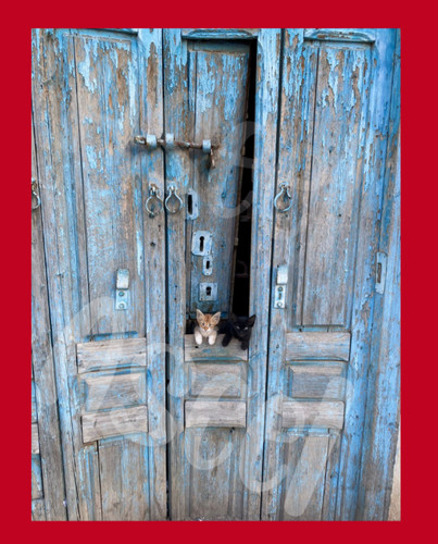 Cat art sample wallpaper - sample,