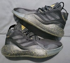 Adidas adiZero Derrick D Rose