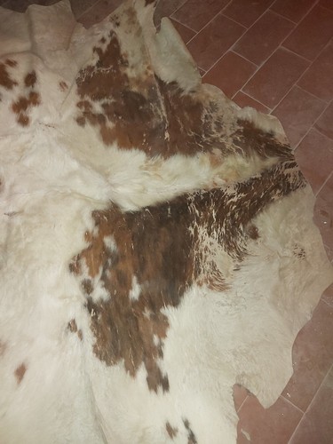 Tapppeto pelle - tapppeto, in