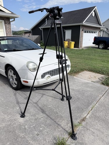 Manfrotto 504hd testina video - testina,