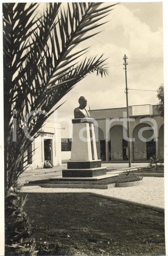 1934 barce busto - barce, di