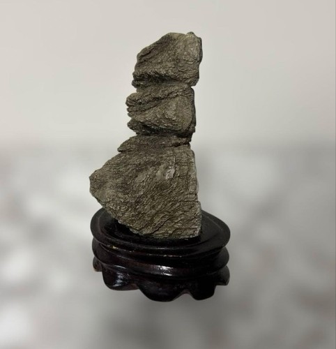 Bonsai suiseki bonseki - bonsai,