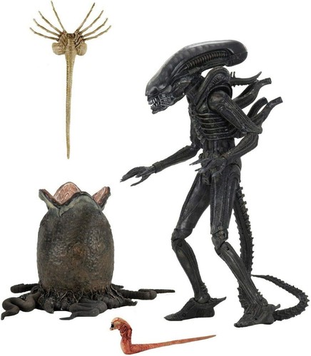 Alien big chap ultimate - chap,