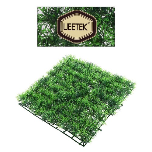 Pesciera quadrata erba - pesciera,
