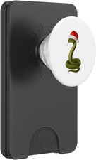 Serpente Con Cappello Di Babbo