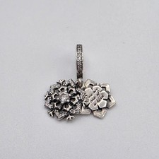 Charm Pandora S925 ALE argento