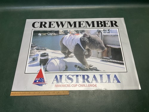 Poster koala coppa america - poster,