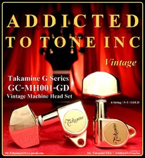 Takamine serie G set testine