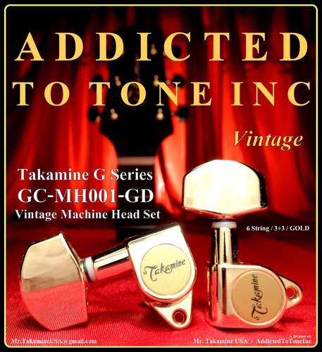 Takamine serie set testa - takamine, g