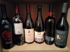 6 BT Vino Barolo Nebbiolo