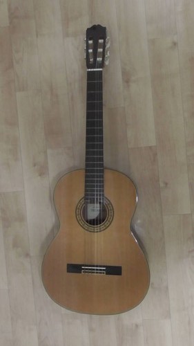 Chitarra acustica vintage