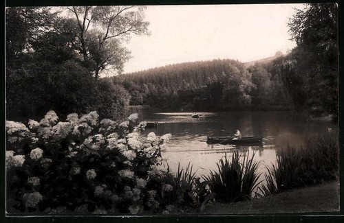 Vista bad elster - bad, nel