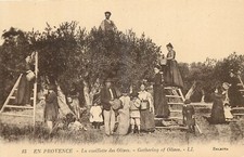 C-1910 Provenza Francia