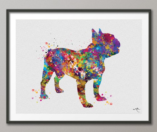 Stampa acquerello bulldog - acquerello,