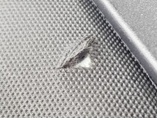 98382502ZD cappelliera